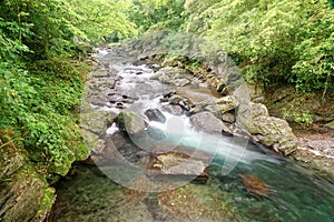 A rapid stream flowing through a mysterious forest of lush greenery