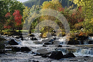 Rapids In Highland River