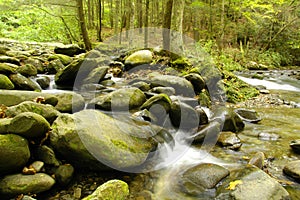 Rapids on Laurel creek, GSMNP