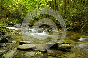 Rapids on Laurel creek, GSMNP