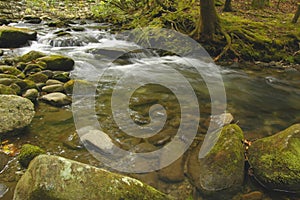 Rapids on Laurel creek, GSMNP