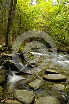 Rapids on Laurel creek, GSMNP