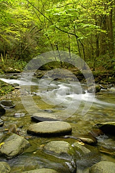 Rapids on Laurel creek, GSMNP