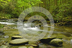 Rapids on Laurel creek, GSMNP