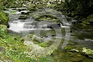 Rapids on Laurel creek, GSMNP