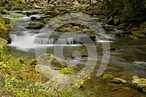 Rapids on Laurel creek, GSMNP