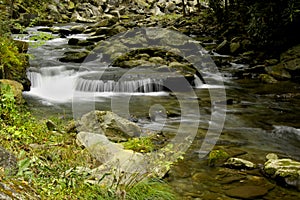 Rapids on Laurel creek, GSMNP