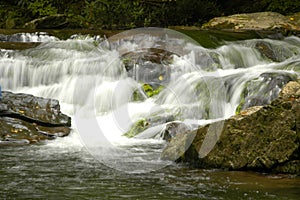 Rapids on Laurel creek, GSMNP