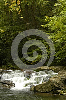 Rapids on Laurel creek, GSMNP