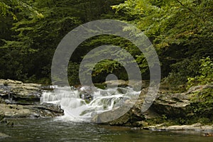 Rapids on Laurel creek, GSMNP