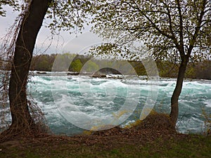 Rapids at Niagara Falls