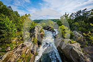 Rapids in the Potomac River at Great Falls, seen from Olmsted Is