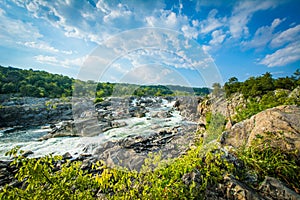 Rapids in the Potomac River at Great Falls, seen from Olmsted Is