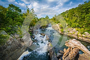 Rapids in the Potomac River at Great Falls, seen from Olmsted Is