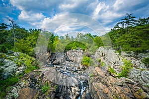 Rapids in the Potomac River at Great Falls, seen from Olmsted Is