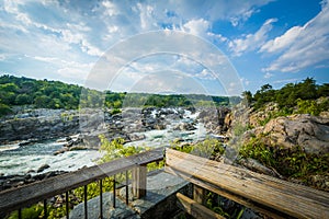 Rapids in the Potomac River at Great Falls, seen from Olmsted Is