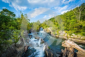 Rapids in the Potomac River at Great Falls, seen from Olmsted Is