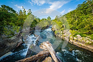 Rapids in the Potomac River at Great Falls, seen from Olmsted Is