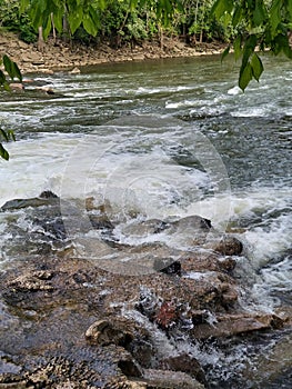 Rapids photo