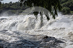 Murchison falls in Uganda