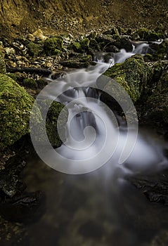 Rapids on a small mountain creek surrounded by moss covered rocks