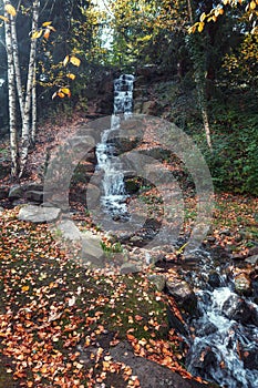 Rapids in the stream run through a beautiful park in autumn colors