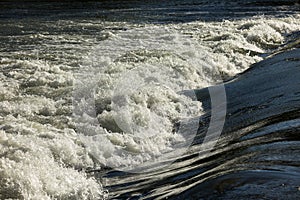 Rapids at wetlands of Danube river near Bratislava, Slovakia