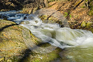 Rapids on a Wild Mountain Trout Stream