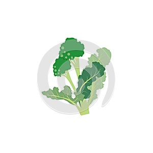 Rapini or broccoli rabe, green cruciferous vegetable.