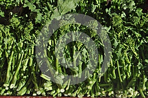 rapini broccoli vegetables food photo