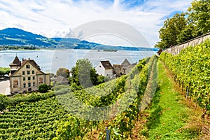 Rapperswil City at lake Zuerich, Switzerland - travel destination in Europe photo