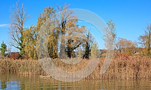 Rapperswil, Lake Obersee, Autumn