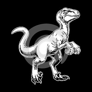 Raptor Hand Drawn Illustration in Monochrome
