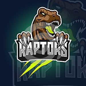 Raptors Logo Mascot Vector Illustration photo