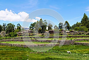 Raqchi, Peru, South America