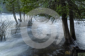 Raquette River In Flood, Adirondack Forest Preserve, New York, USA