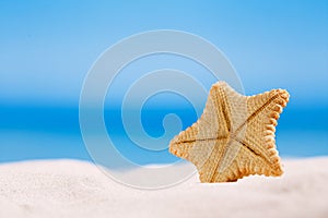 Rare deepwater starfish with ocean, on white sand beach, sky and