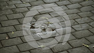 Rare drops of rain drip into small puddle among the paving slabs.