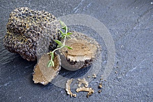 Rare and expensive black truffle