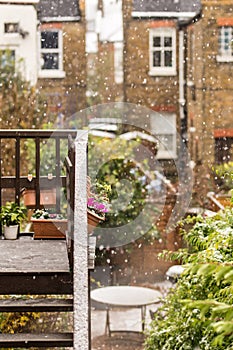 Rare garden of London suburb in snowy winter day