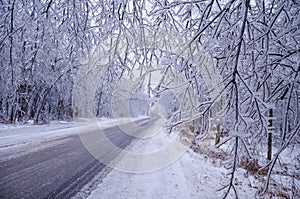 Rare ice storm in Ontario creates beautiful winter scene