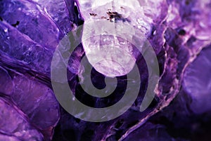 Rare mineral charoit,