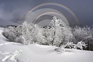 Raro è un arcobaleno 