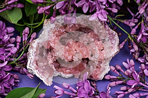 Rare Pink Amethyst Geode Cluster from Patagonia, Argentina. Surrounded by purple lilac flower.