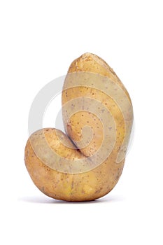 Rare potato