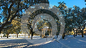 Battery Park Charleston, January of 2018