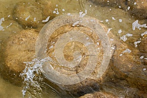 Rare thrombolites at Lake Clifton West Australia