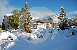 Rare winter snow storm in the desert environment near Las Vegas, Nevada