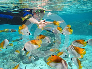 Rarotonga underwater photo