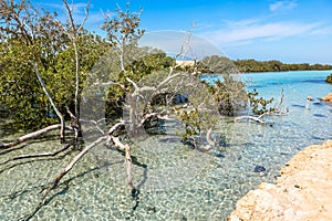 Ras Mohamed National Park in Egypt.